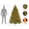 6.5ft. Pre-Lit Feel-Real® Nordic Spruce® Artificial Christmas Tree, Clear Lights